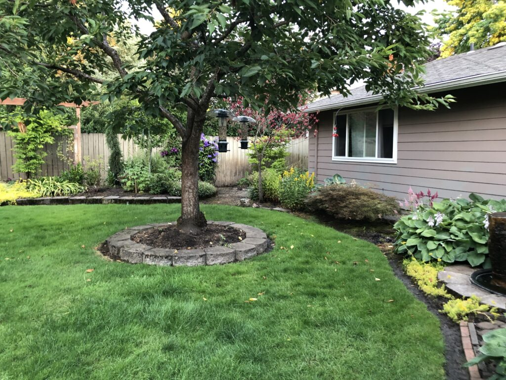 bc5d97d254c3173964d6cd7b5c24033eb420e32b